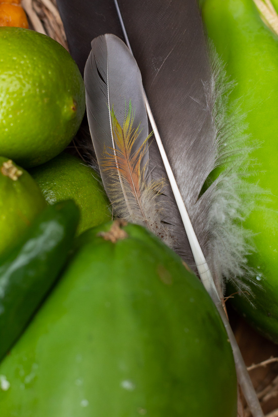 green papayas with lime, chili, ginger, turmeric