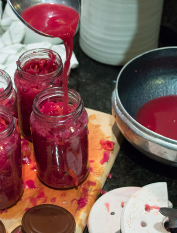 pink-purple-sauerkraut-decanting-frozen-ladel-pour