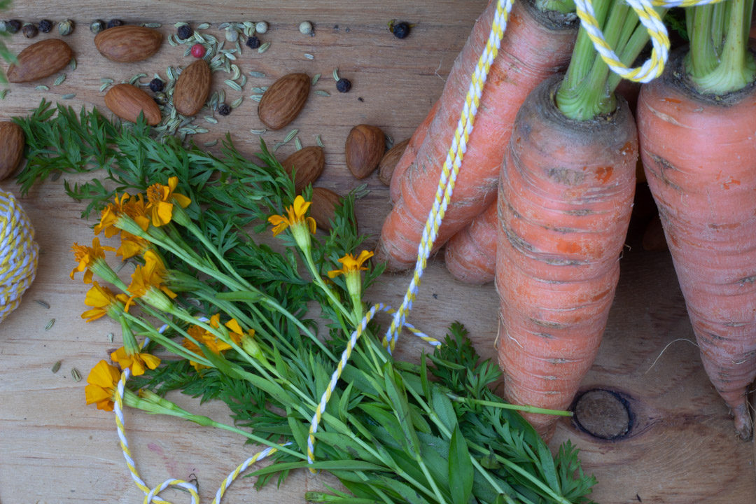 carrot top pesto ingredients upright carrots