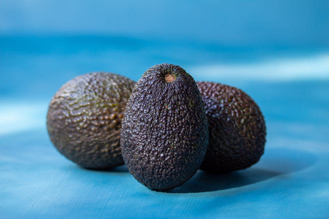 avocados still life