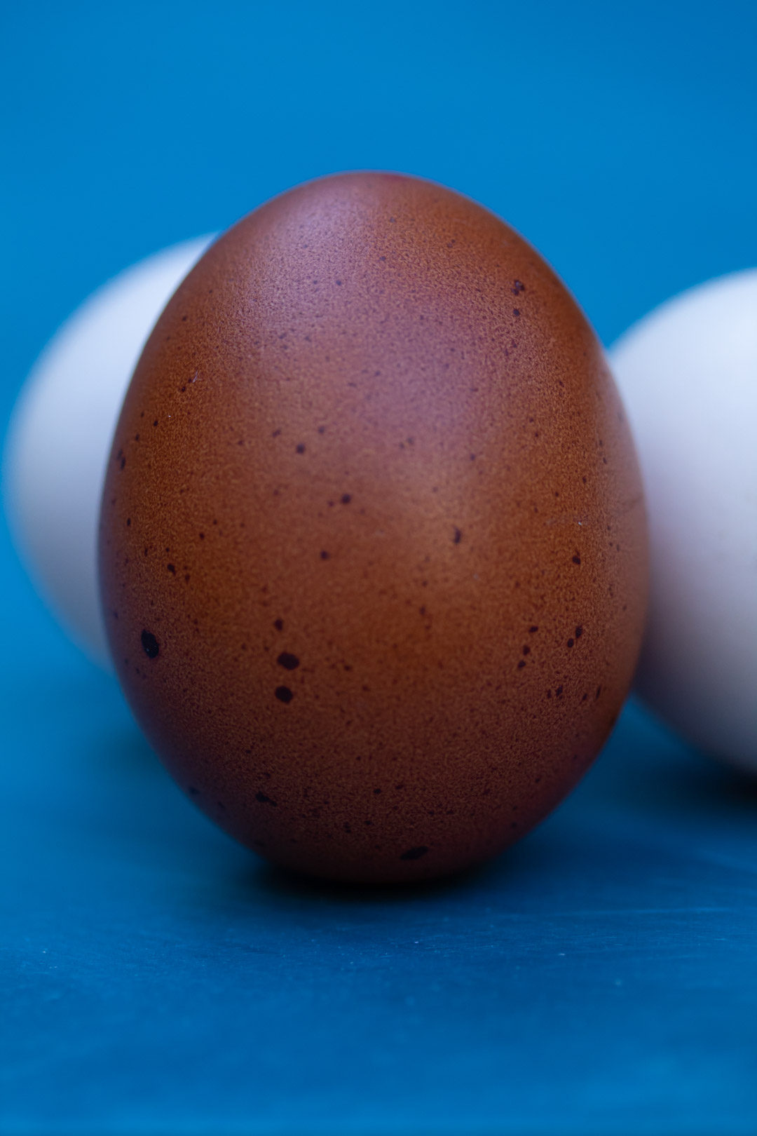 brown speckled egg close up