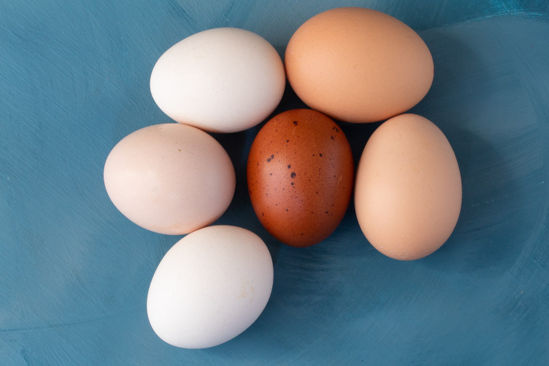 organic eggs from above