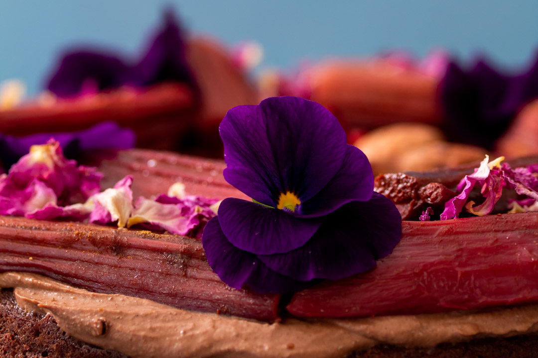 rhubarb cacao spice cake top