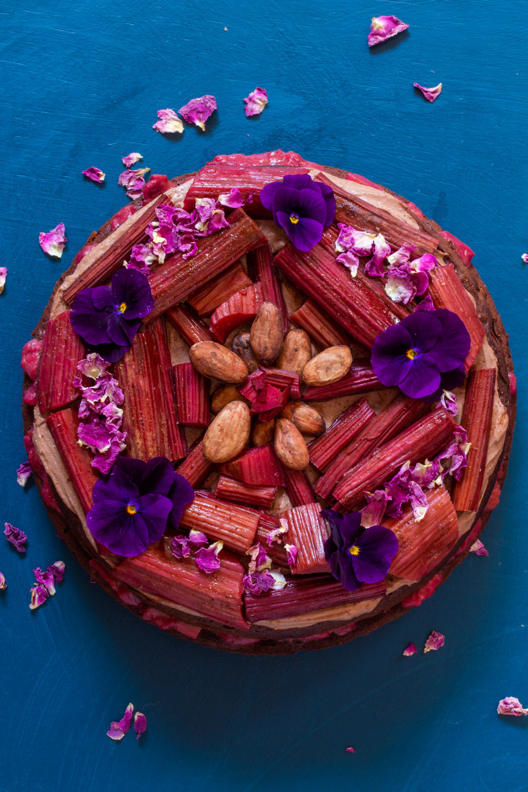 rhubarb cacao spice cake from above