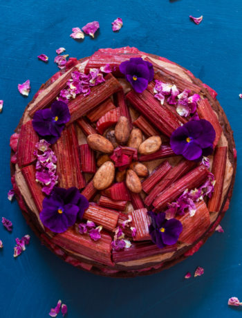 rhubarb cacao spice cake from above