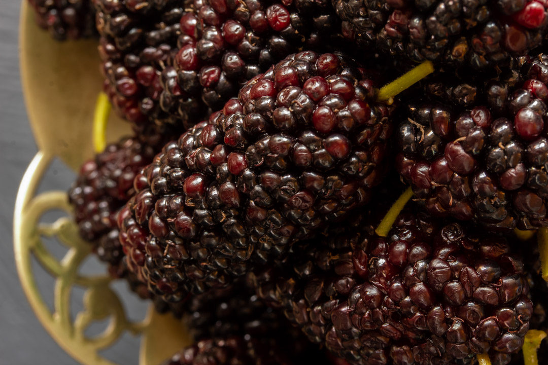 spiced mulberry shrub sugar bowl from above