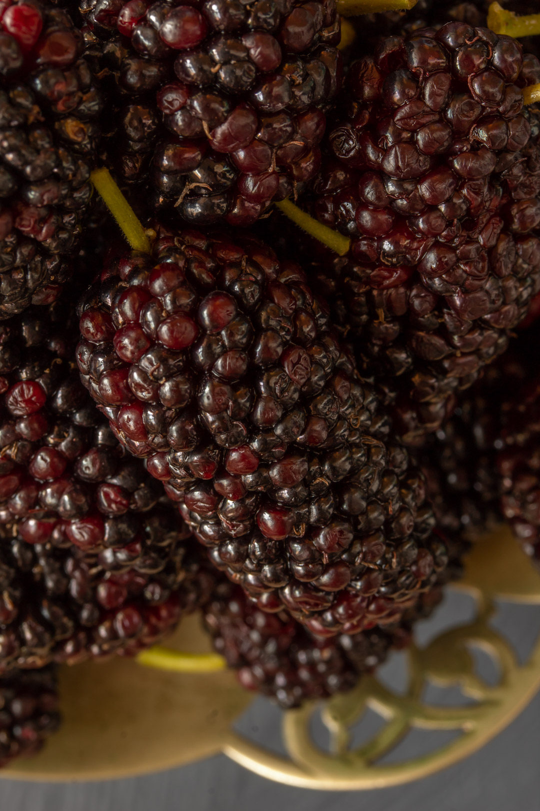 spiced mulberry shrub sugar bowl from above