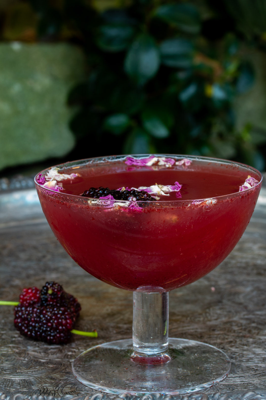 mulberry rose champagne cocktail