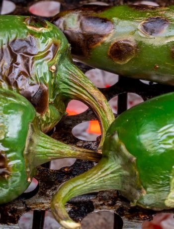 Jalapeno pickles with pepper berries & ginger: jalapeno bbq close up