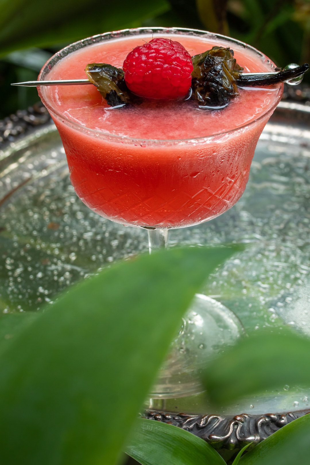 Pickled jalapeno and raspberry margarita cocktail with hibiscus sugar: agave plant in foreground