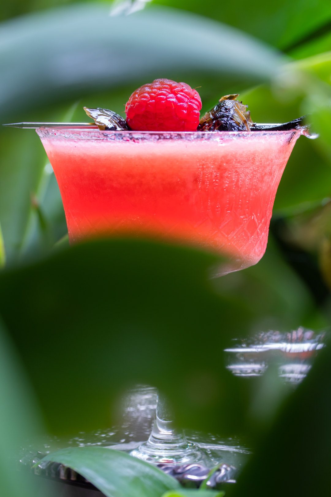 Pickled jalapeno and raspberry margarita cocktail with hibiscus sugar: with agave frame