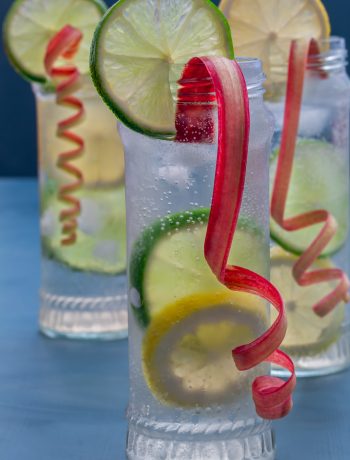 lemon, lime and rhubarb bitters in 3 glasses