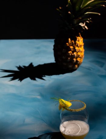 pineapple fennel shrub margarita cocktail with pineapple and shadow