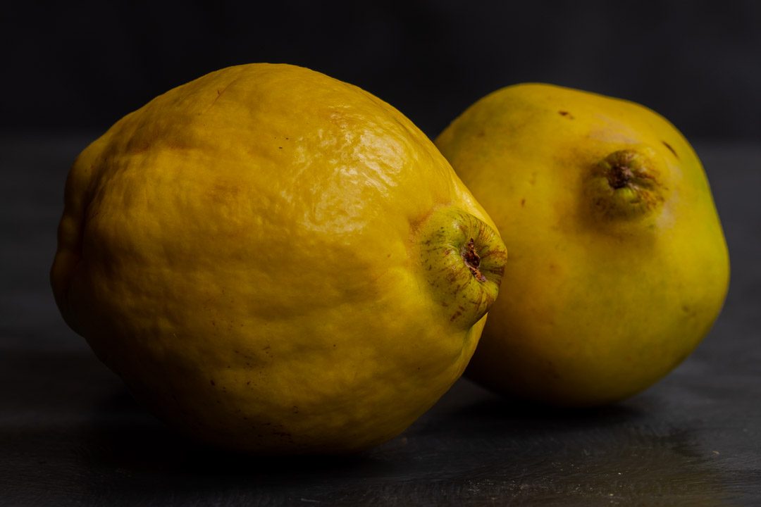 Making Vintage Quince Cordial with 2 quinces on a grey background