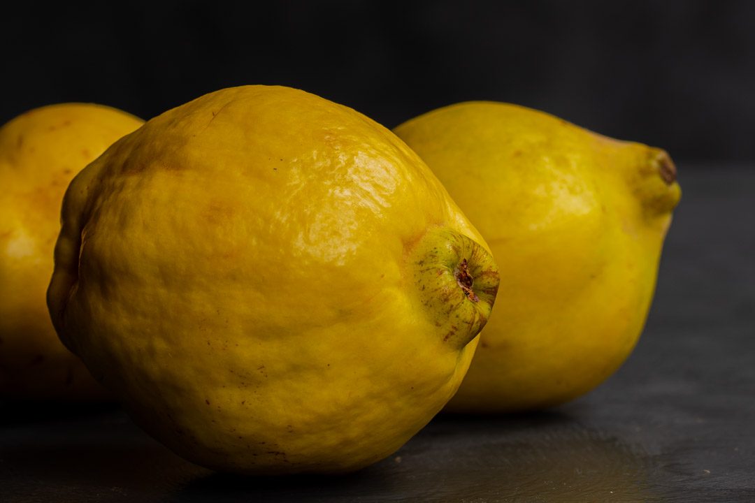 Making Vintage Quince Cordial with 3 quinces on a grey background