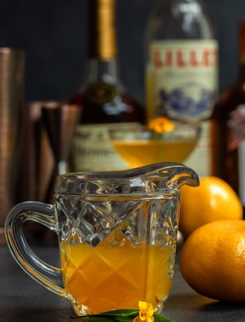 Mandarin tarragon shrub syrup drinking vinegar with cocktail gear in background