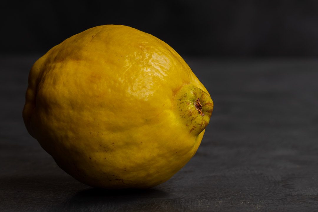 Making Vintage Quince Cordial with solo quince