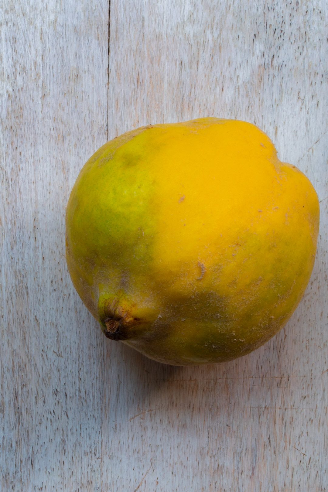 Making spiced pickled quinces with single quince on white background