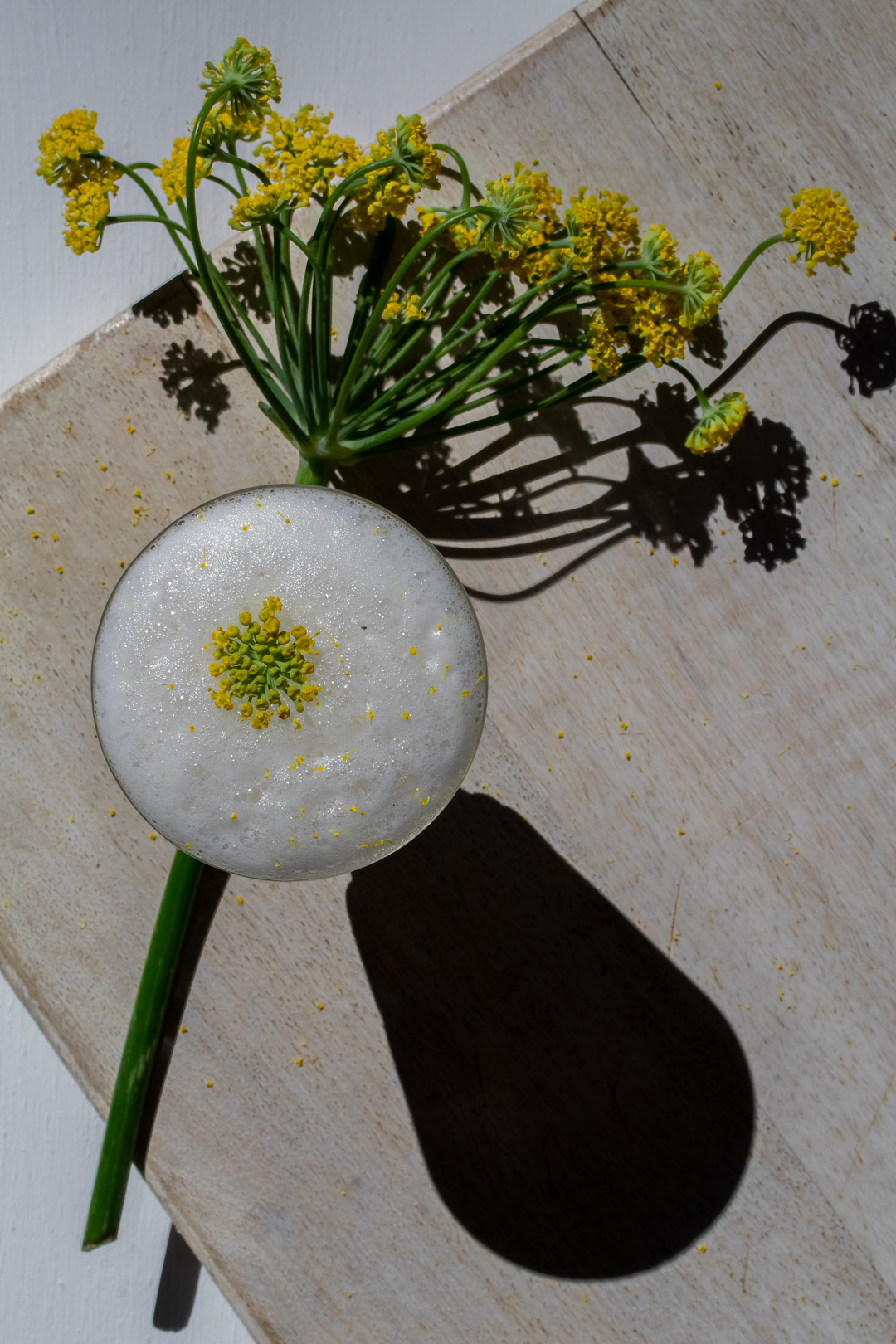 fennel flower silver sour from above with fennel umbrel and fennel flower garnish