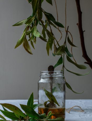 lemon myrtle honey syrup framed by suspended lemon myrtle leaves