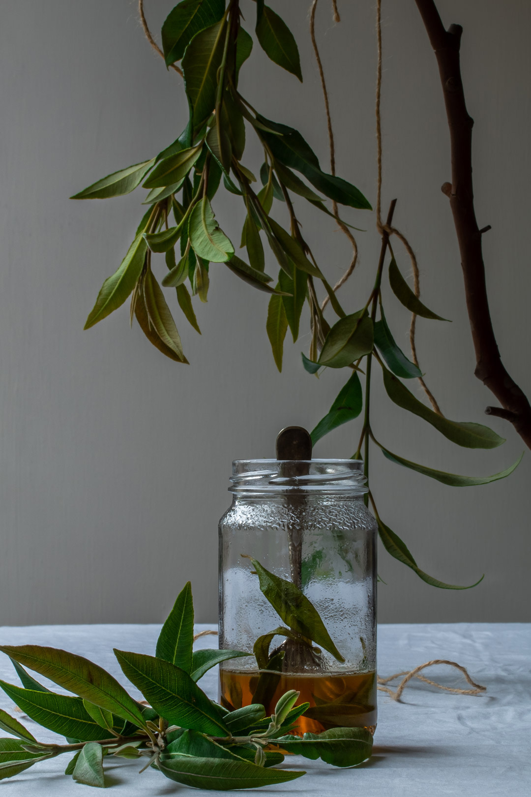 lemon myrtle honey syrup framed by suspended lemon myrtle leaves