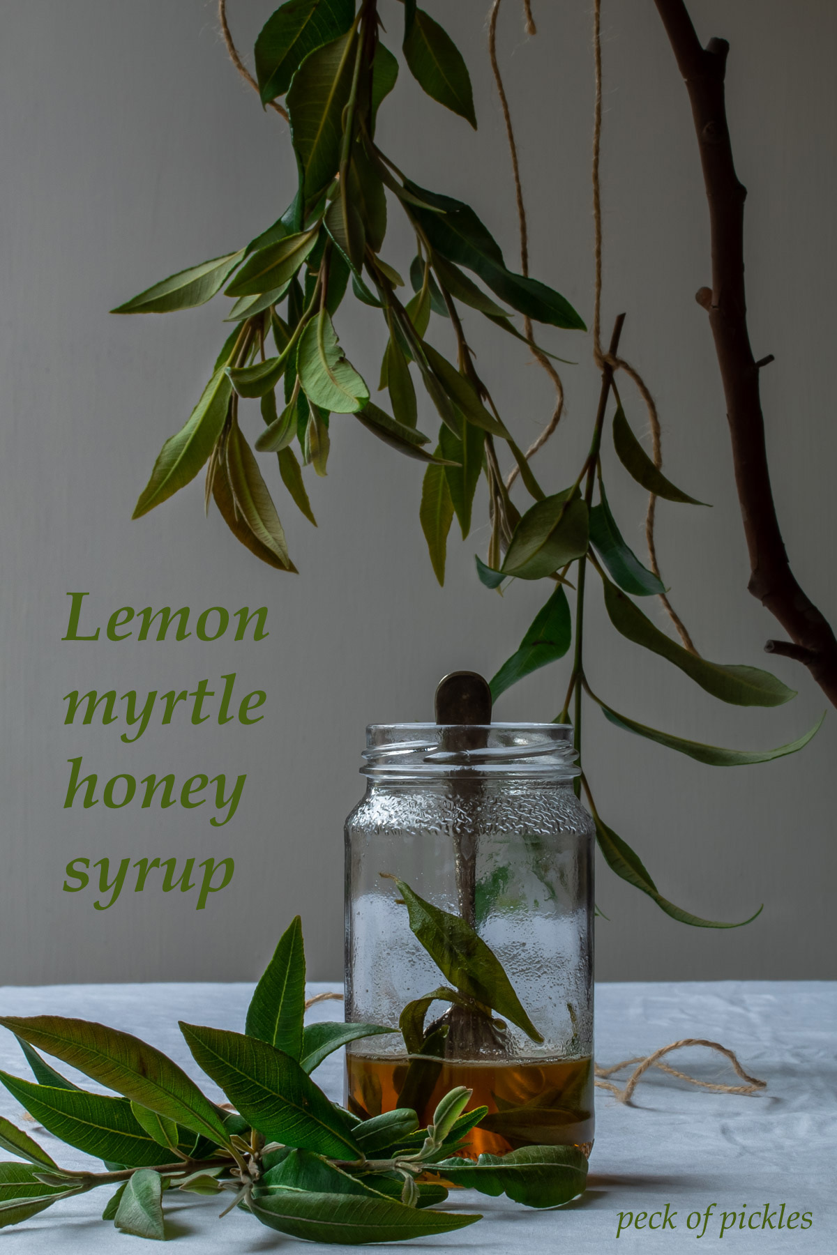 lemon myrtle honey syrup in glass jar with vintage spoon framed by suspended lemon myrtle leaves