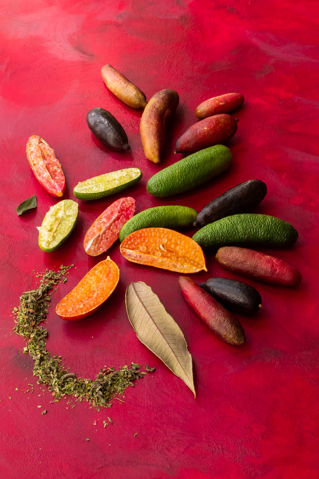 australian botanicals for rainforest gin tonica on red background