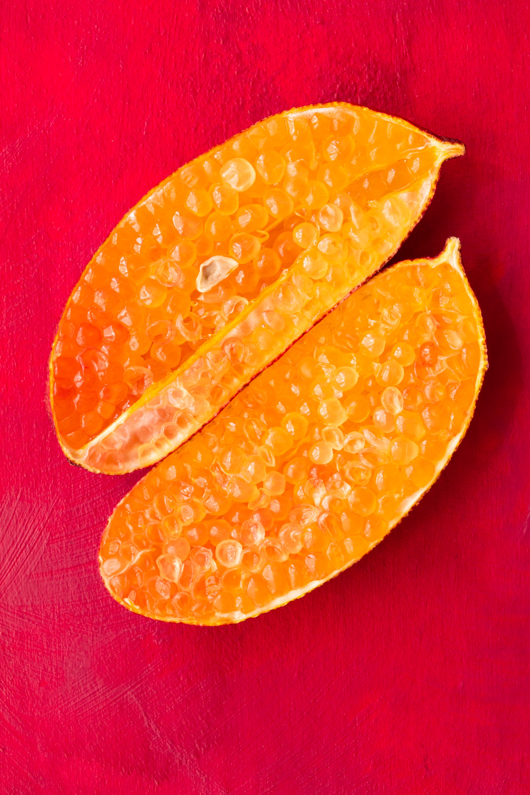 double orange finger lime for rainforest gin tonica