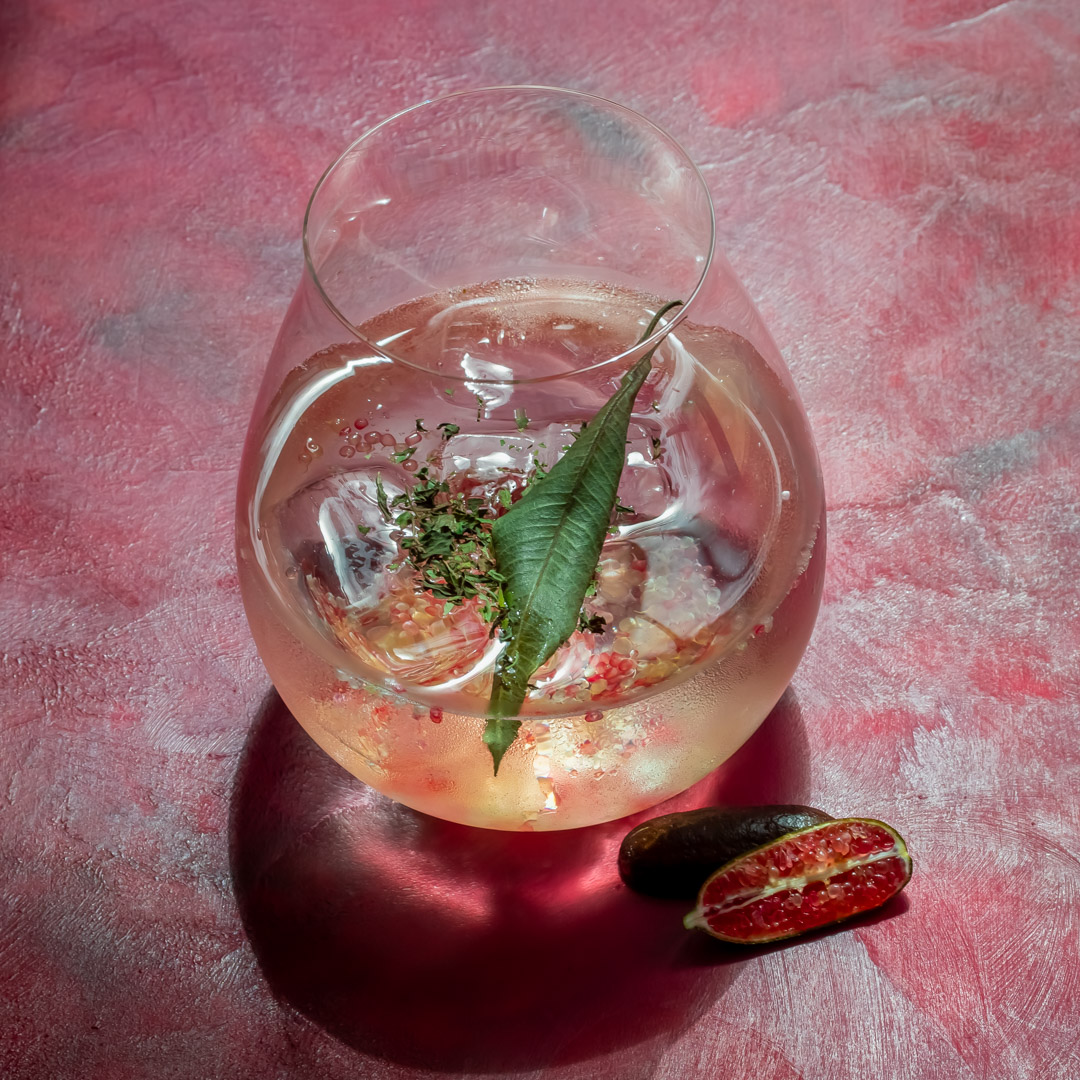 rainforest gin tonica 