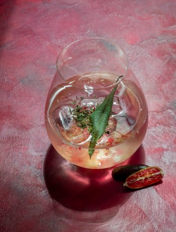 rainforest gin tonica