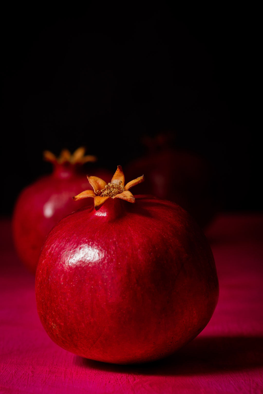 pomegranates for pomegranate and rose daisy