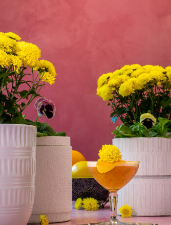 fancy honey bee cocktail