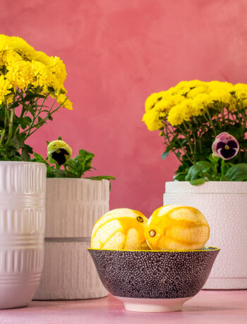 peeled orange and lemons for spiced lemon & orange oleo saccharum shrub
