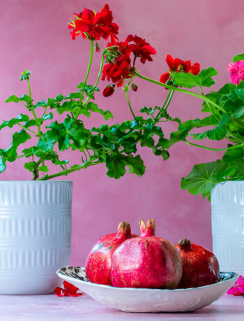 pomegranates in a dish with geraniums for grenadine