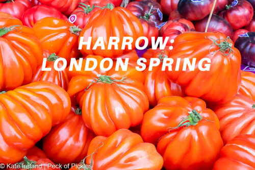 ox heart tomatoes harrow london spring