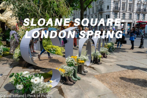 sloane mirror sign with floral installations, sloane squre, chelsea in bloom, london spring