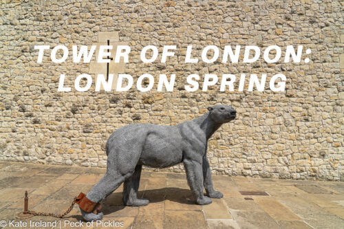 polar bear, tower of london, london spring