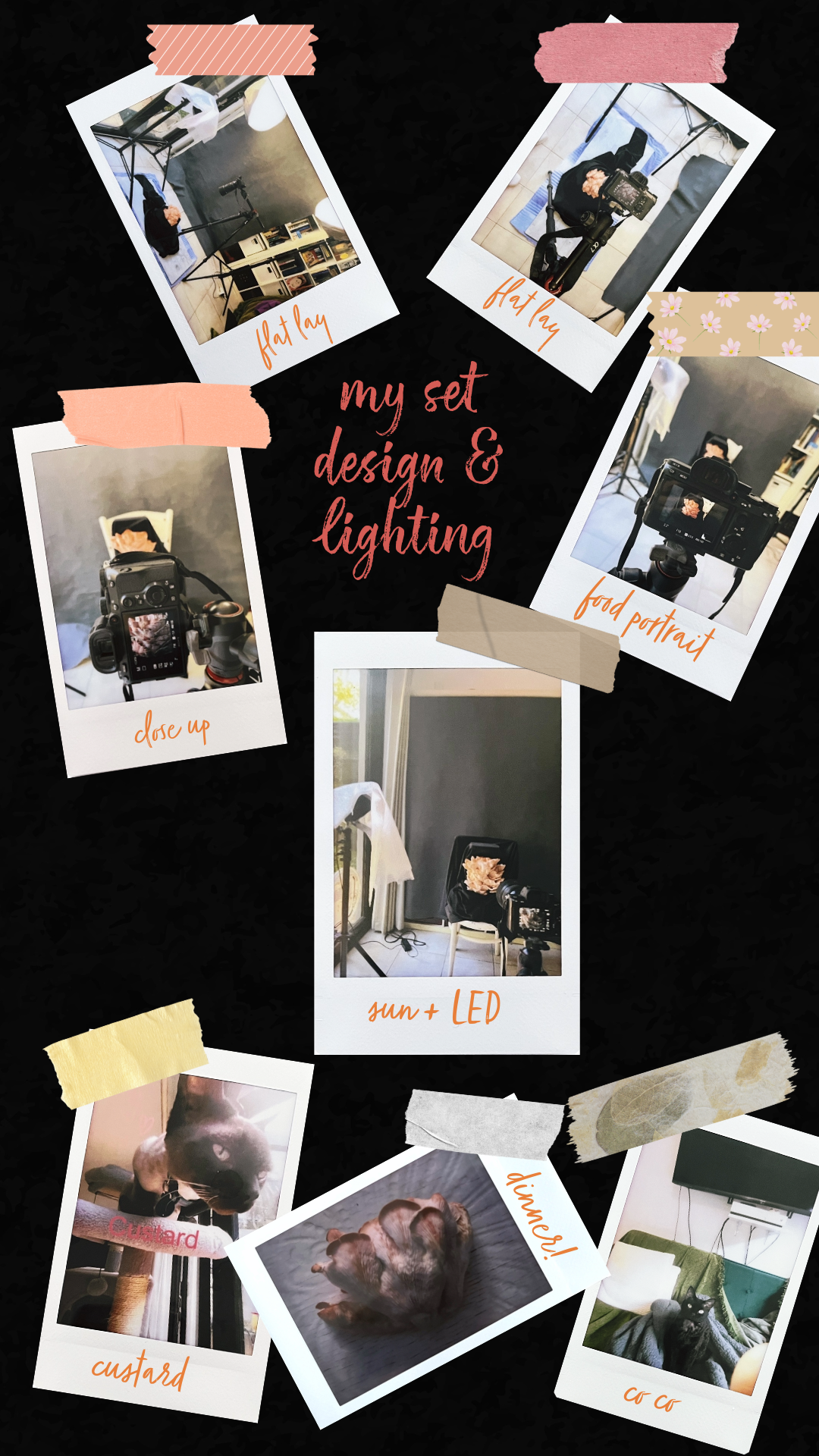 Instax Behind the Scenes Diary: My Set Design & Lighting + My Muses Co Co & Custard & Dinner instax photos of shooting homegrown pink oyster mushrooms