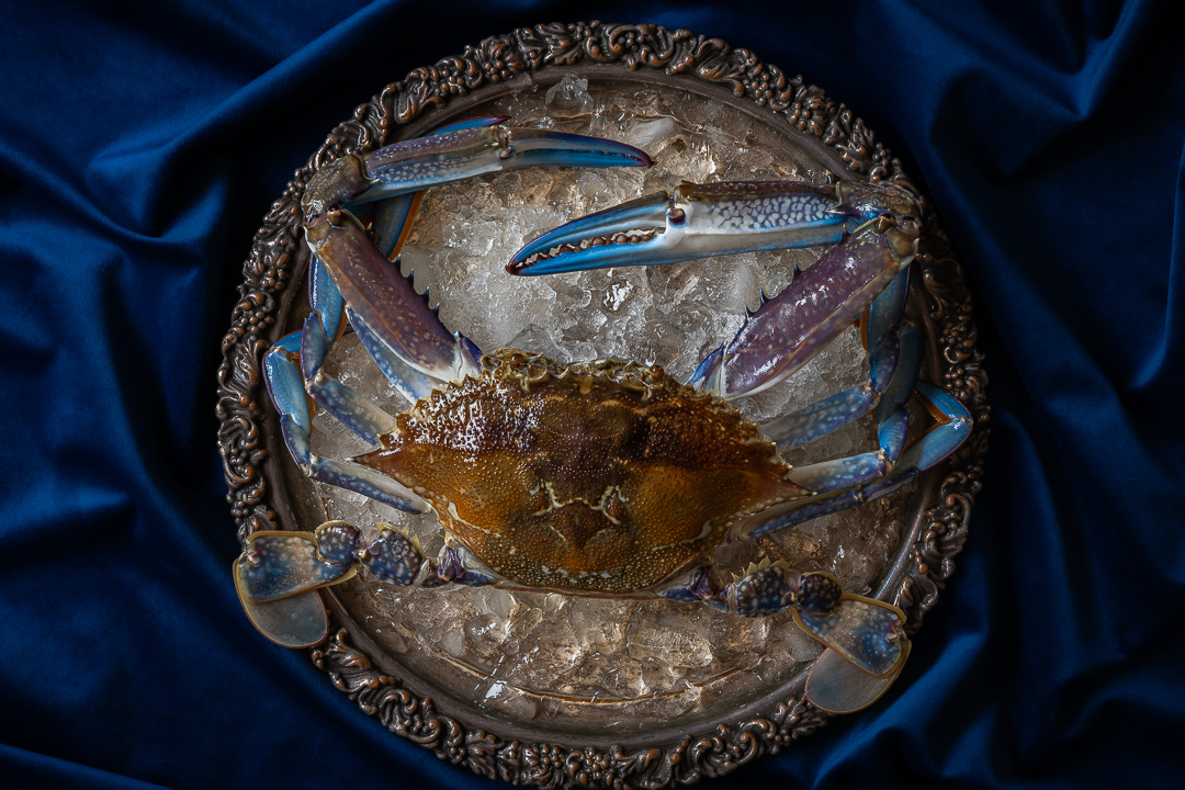 blue swimmer crab raw