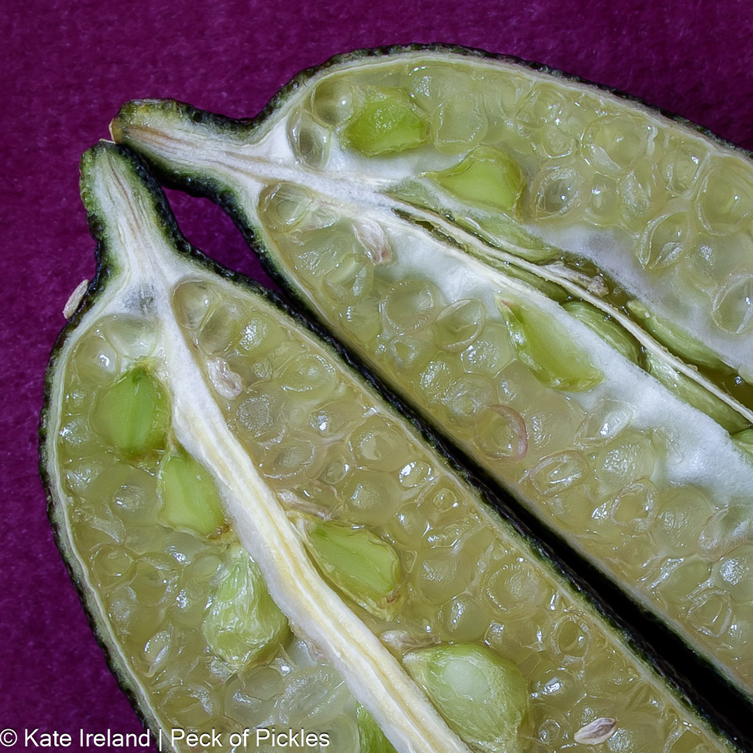 macro photo of green finger limes