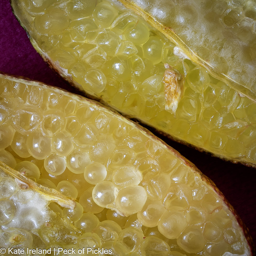macro photo of yellow finger limes
